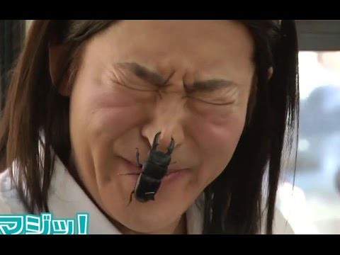 Японское шоу "Выиграй жука!"