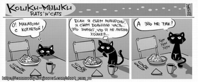 Кошки-мышки