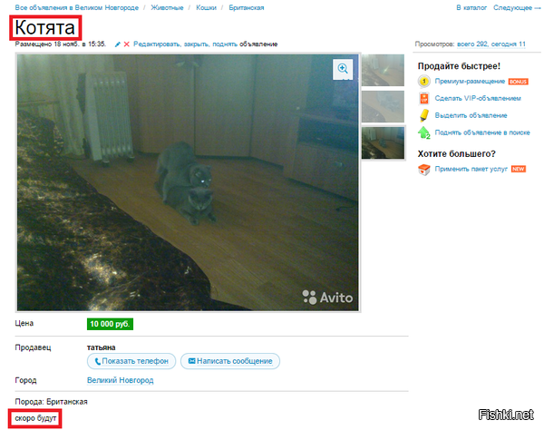 Из солянки от 09.12.2014