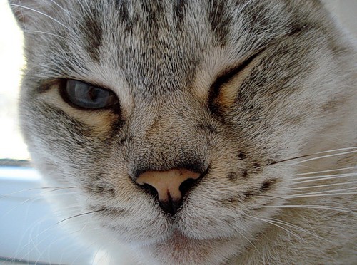 Моя Маруся. История Василия 