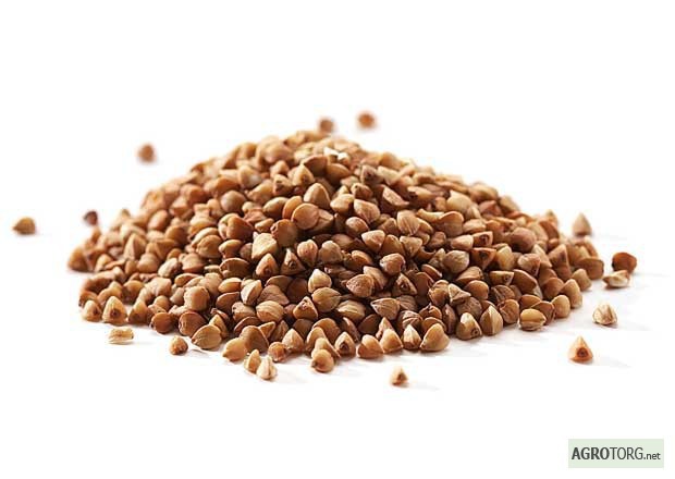 Глава Минсельхоза объявил об избытке гречки в стране