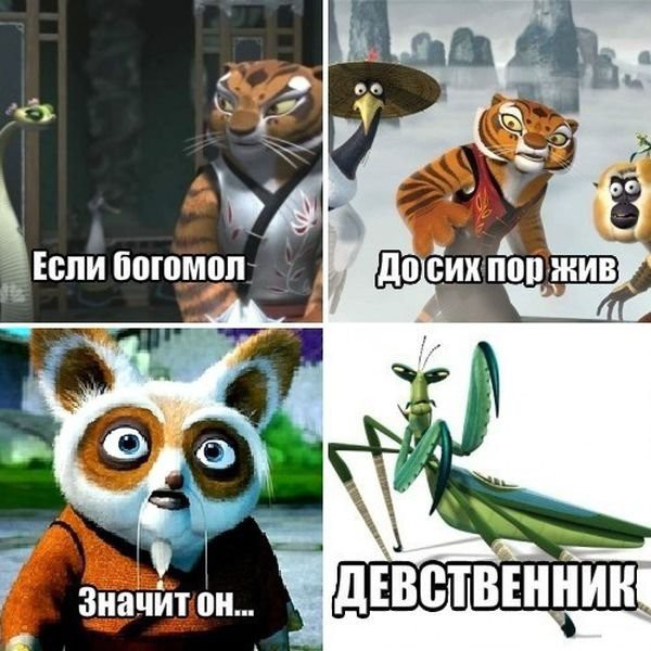 Подборка смешных картинок