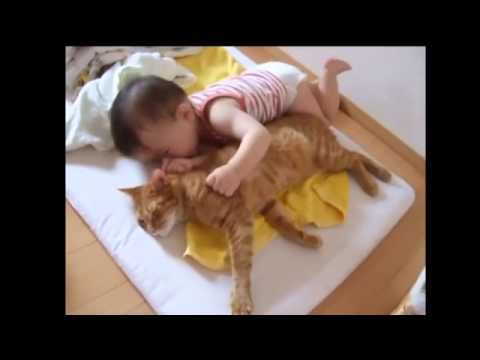 Малыш и самый терпеливый в мире кот 