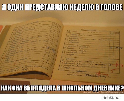 Школьный дневник 