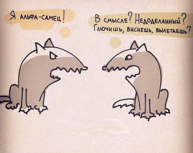 Картинки со смешными подписями