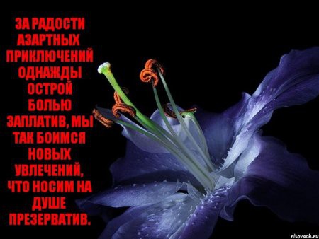 Короткие стихи на цветочном фоне