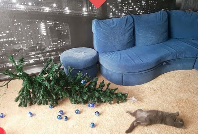 Новогодние ожидания и реальность