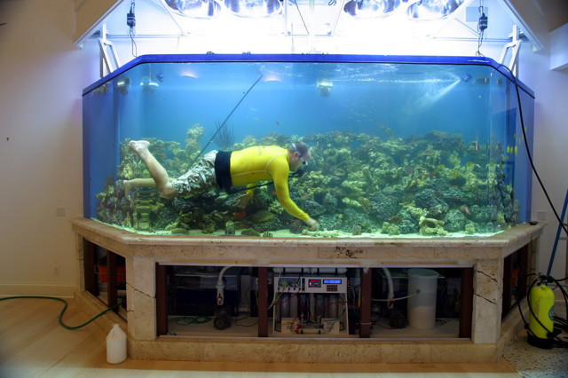 Фотоподборка за 23.12.2014