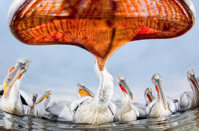 Просто хорошие фото