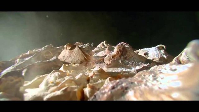 Самая крутая реклама масла