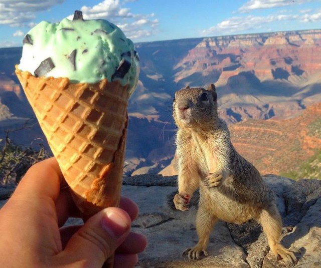 Фотоподборка за 26.12.2014