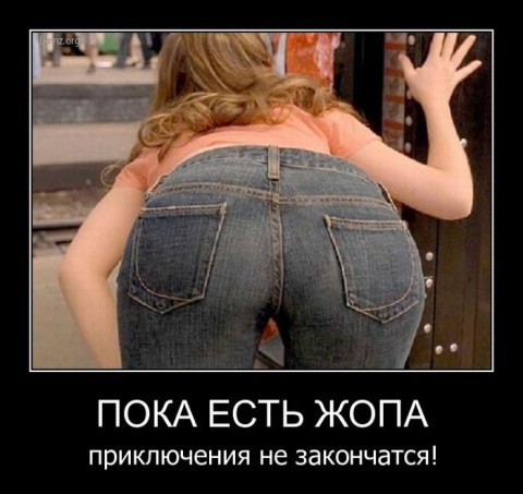 Стихи про жопу