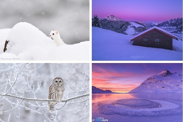 20 лучших фотографий недели