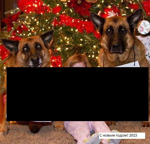 Вселенская безнадёга