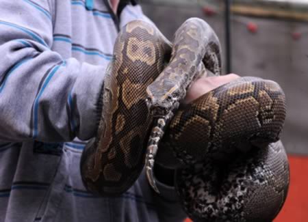 О пользе и вреде алкогольных возлияний