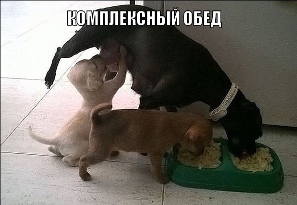 Подборка прикольных картинок