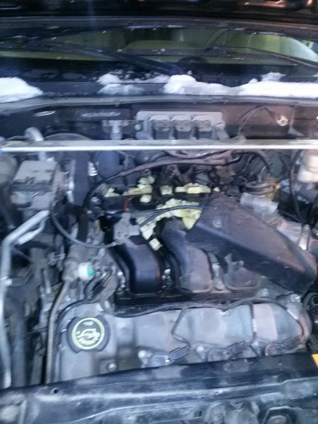 Новый год для всех