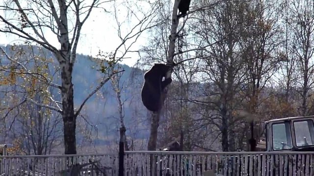 Баян,но сюрреализм происходящего просто впечатляет