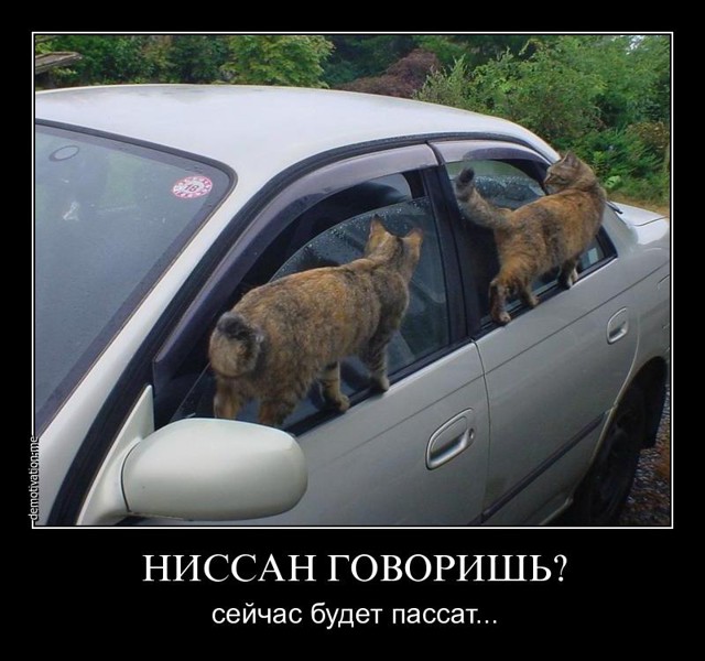 Личная коллекция демотиваторов