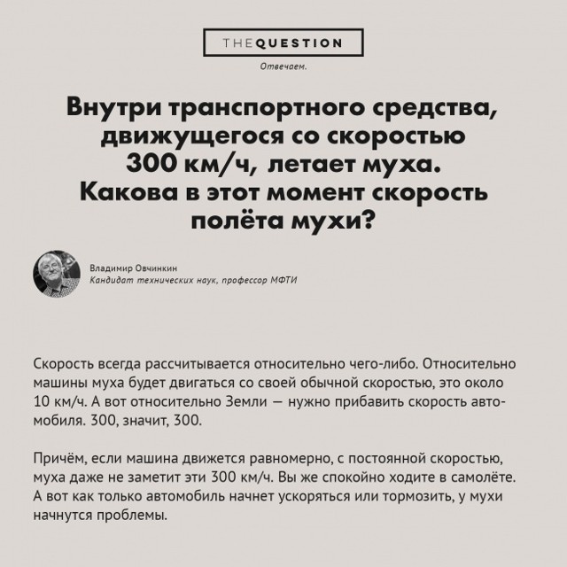 Десять несерьёзных вопросов-ответов в картинках