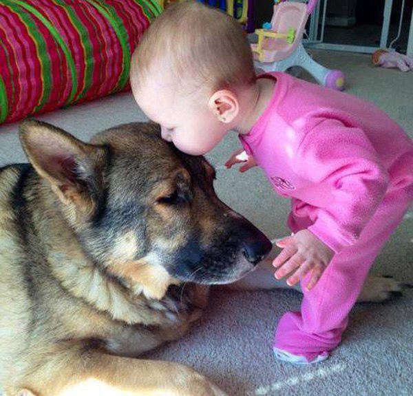 Симпатичные зверушки