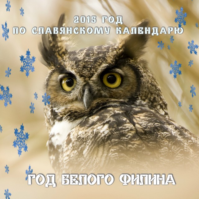 2015 год - Год Белого Филина по славянскому гороскопу