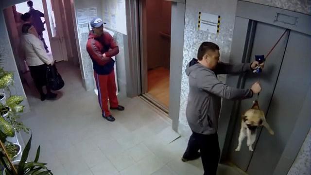 Спасли жизнь 