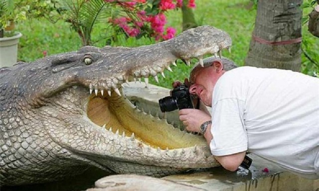 Кандидаты на премию Дарвина