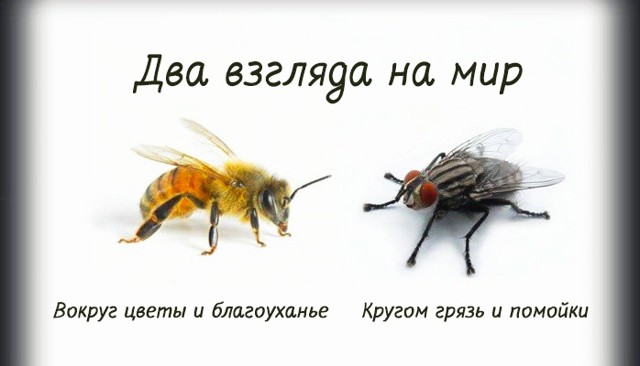 Крaткaя притчa о пчеле и мухе
