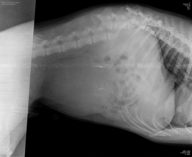 Это не просто реальная история, это КРИК О ПОМОЩИ