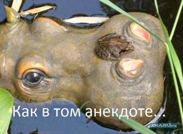 Подними себе настроение