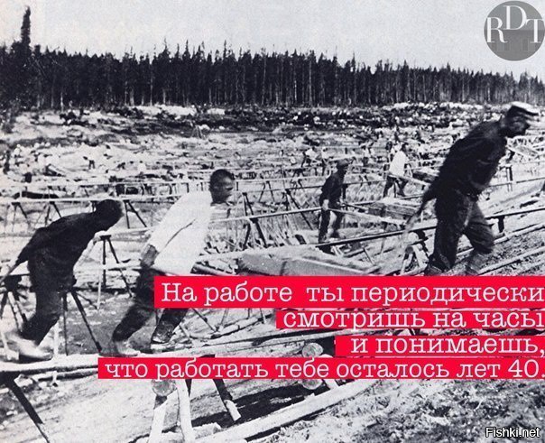 Из солянки от 17.01.2015
