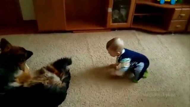 Не поделили