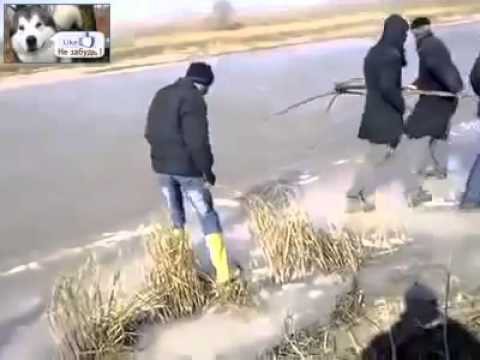  Новый метод ловли рыб