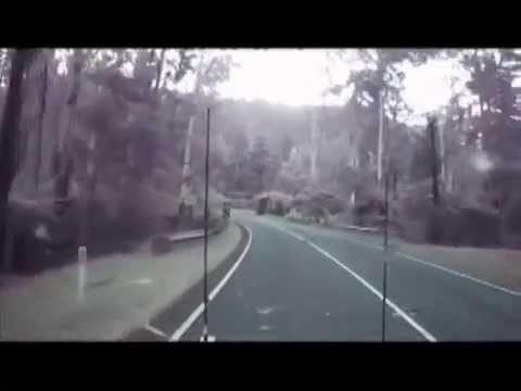 Австралийский ураган повалил лес на дорогу перед водителем