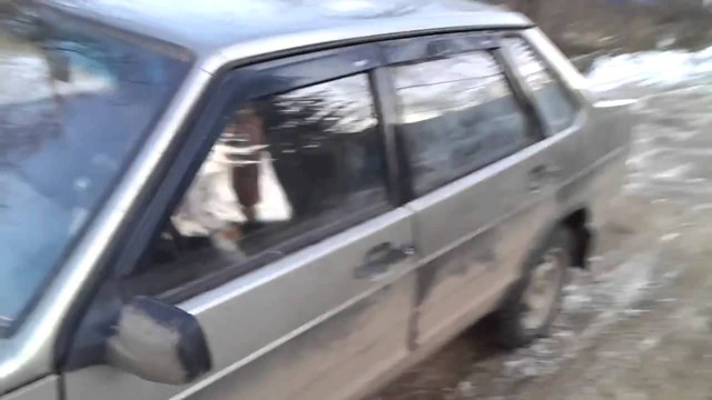 Никогда не закрывайте собаку в машине