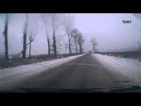 Занесло в единственное дерево на обочине