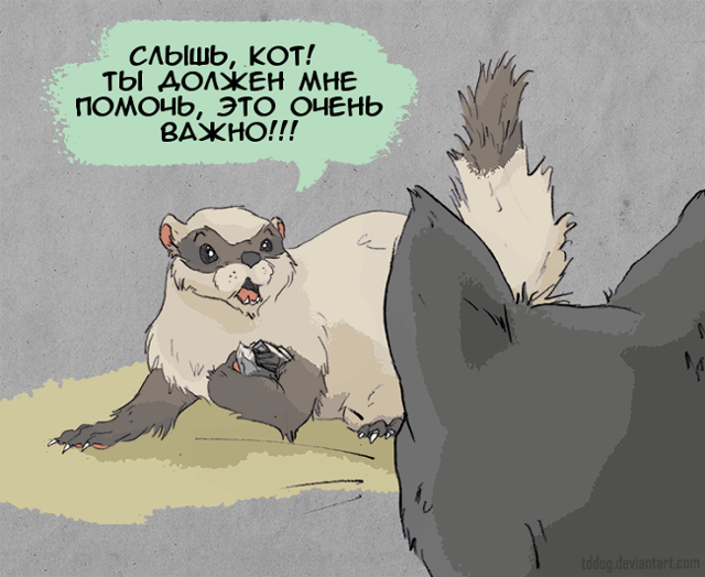 Гифки с предысторией