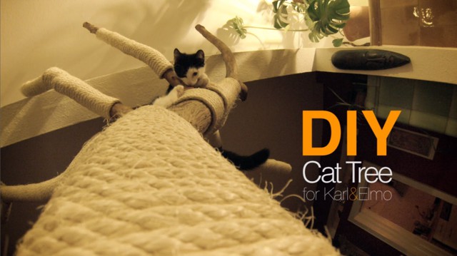 Кошачье дерево