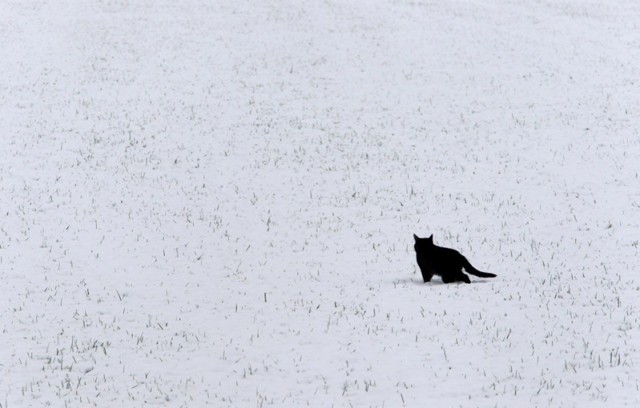 Минимализм в фото