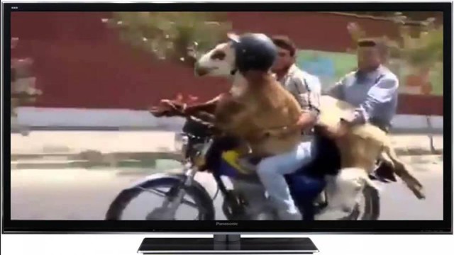 Неожиданно