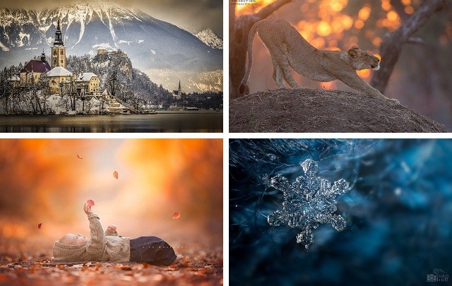 20 лучших фотографий недели