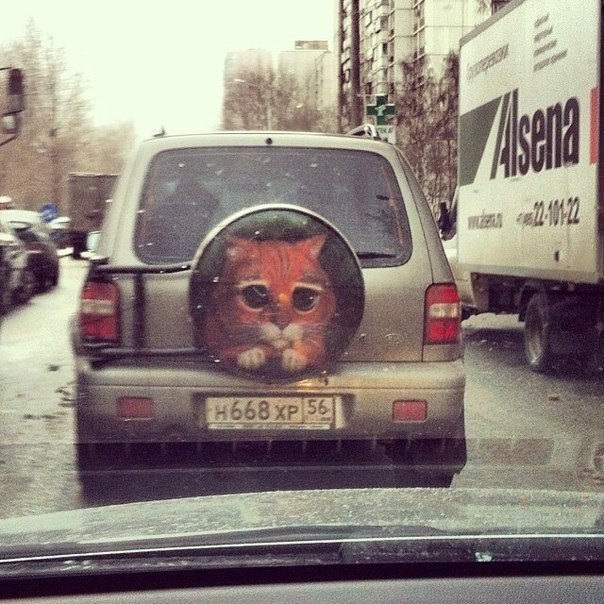 Подборка автоприколов. Часть 194