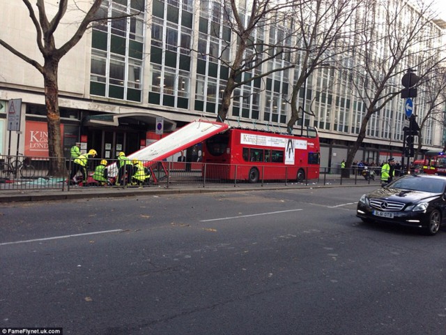 В Лондоне городской автобус врезался в дерево