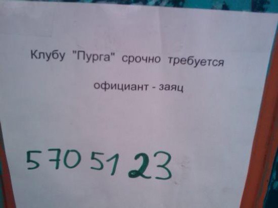 15 примеров нестандартных объявлений с предложением работы