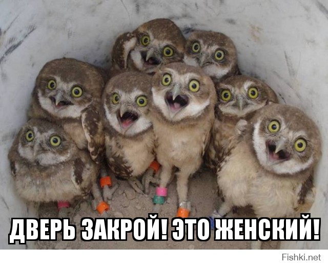 Дверь закрой! Это женский!