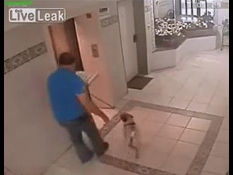 Спаситель