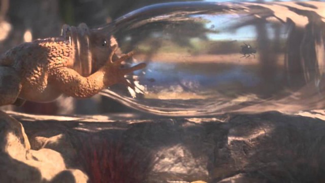 К успеху шёл!