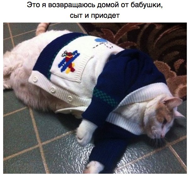 Сказка кончилась