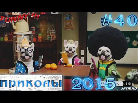 Отборные приколы 